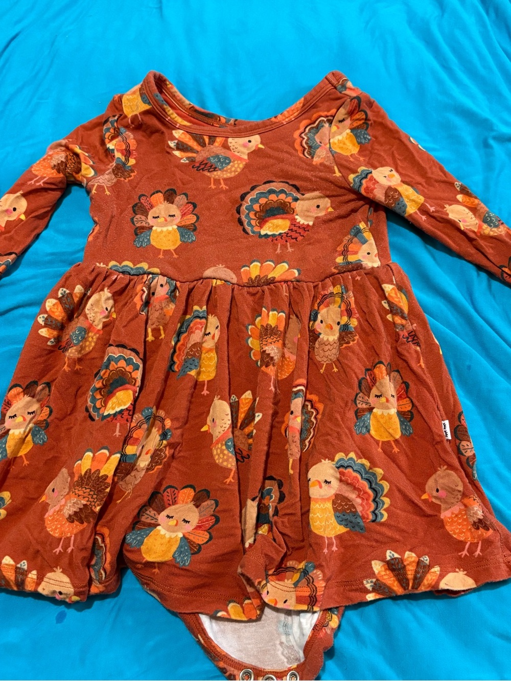 Little Sleepies Rust-Orange Baby Dress with Fall Print